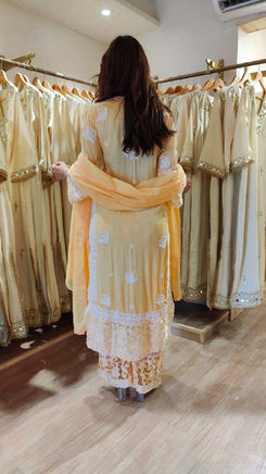 Long Peach Cutwork Chikan Hand Embroidery Set
