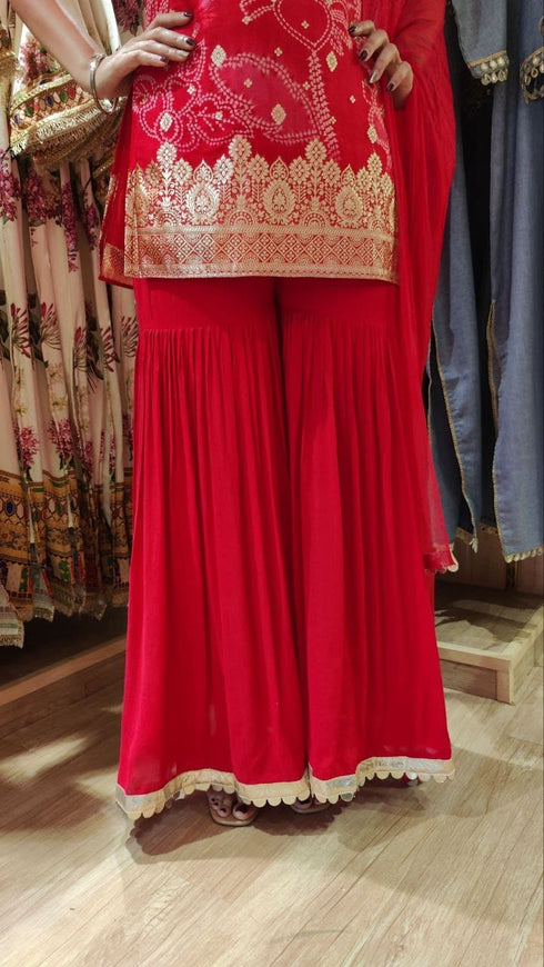 Banarasi Red Spaghetti Sharara Set